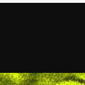 nellamberbenso avatar