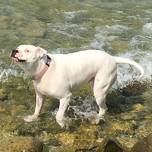 tylergaston02 avatar