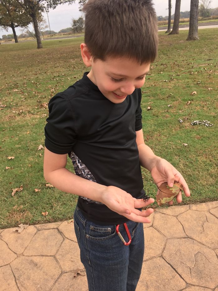 The Story Of Philbert The Beetle The Story Of Philbert The Beetle