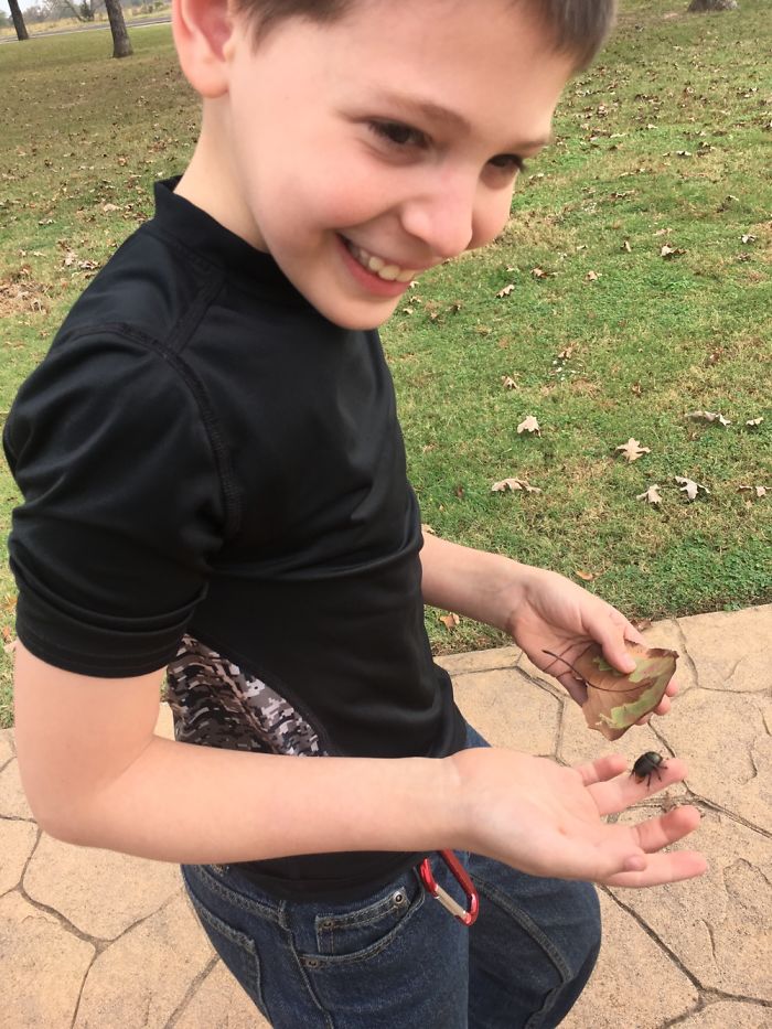 The Story Of Philbert The Beetle