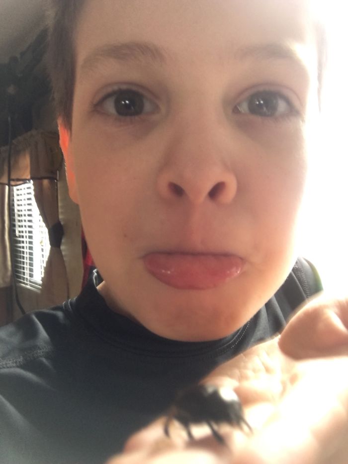 The Story Of Philbert The Beetle