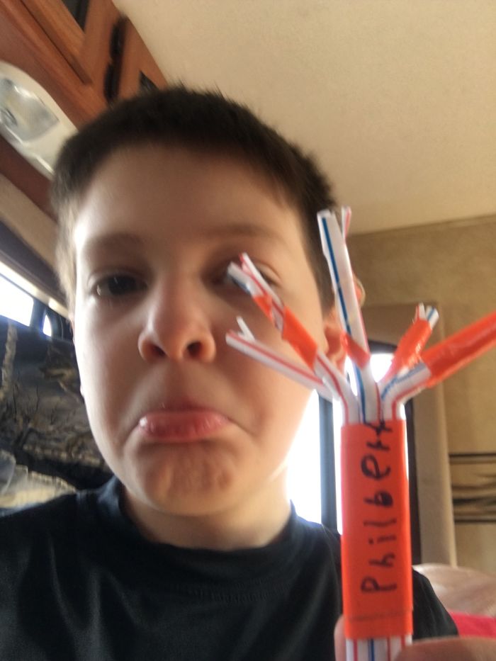 The Story Of Philbert The Beetle