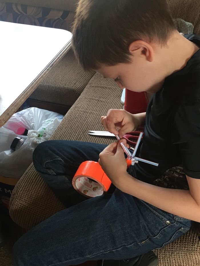 The Story Of Philbert The Beetle