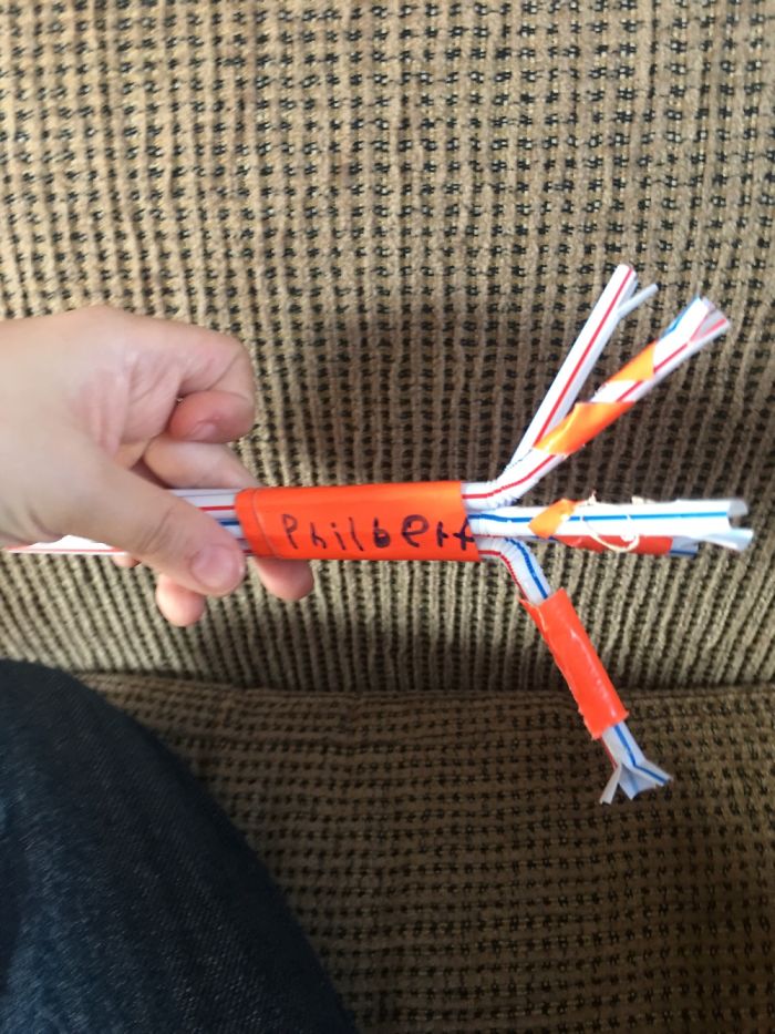 The Story Of Philbert The Beetle