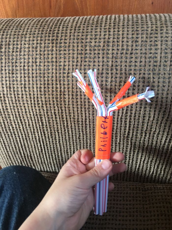 The Story Of Philbert The Beetle