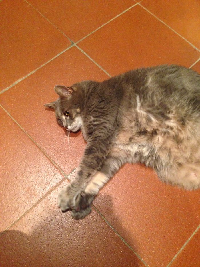 Mimì ❤️always Missed