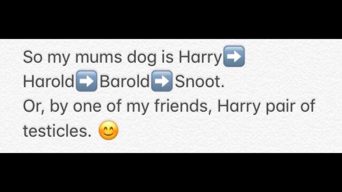 Funny pet names people now call their pets instead of the original one shared in a humorous message about renaming dogs.