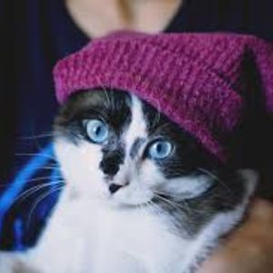 rileyatkinson avatar