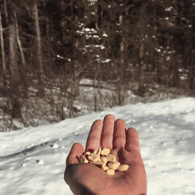 I'm The Disney Princess