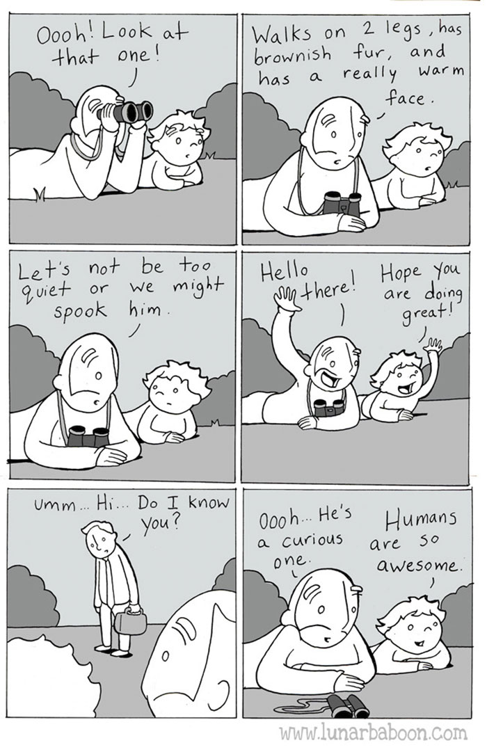 Family Life Comics