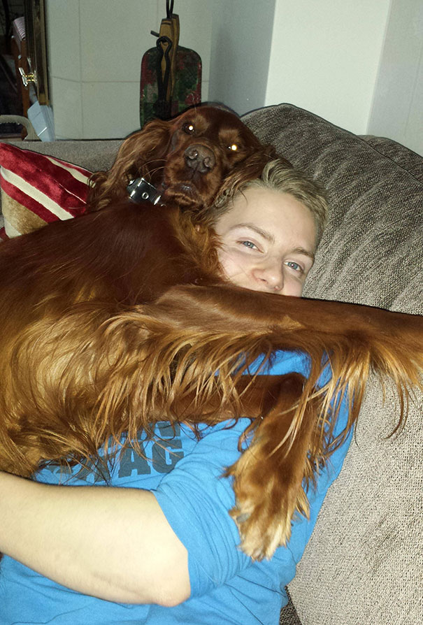 My Dog Likes To Cuddle With Me On The Sofa And Then Stare At My Girlfriend Like A Total Bitch