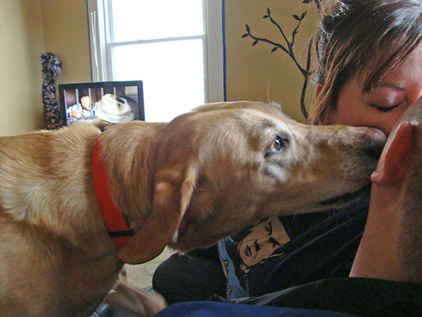 Whenever I Try To Kiss My Boyfriend, The Bitch Gets Jealous