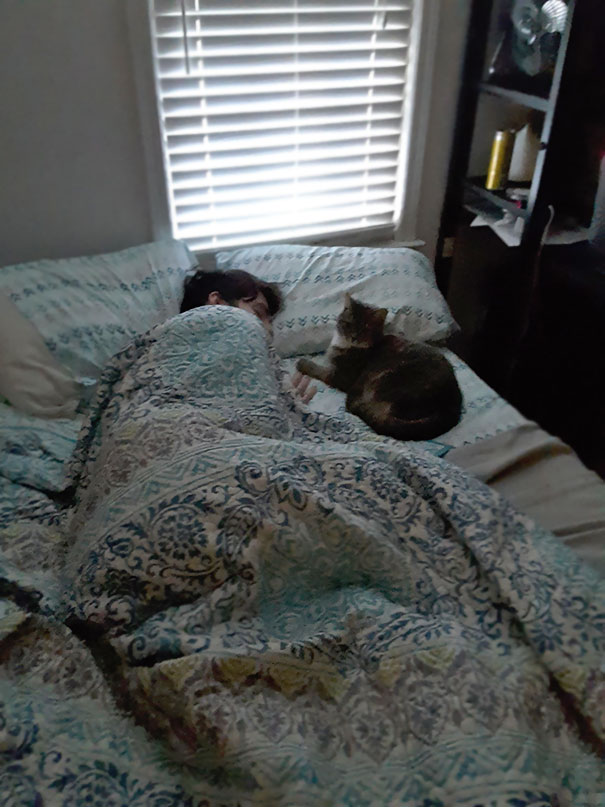 My Boyfriend And My Cat Holding Hands. Heart Bursting