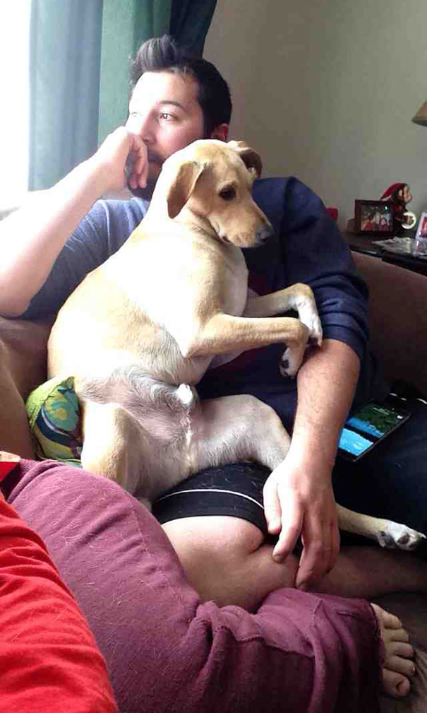 My Boyfriend And His Dog, Everyone. Well, Hello, I'm Lying Just Right Here Too