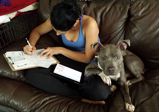 My Dog Stole My Girlfriend