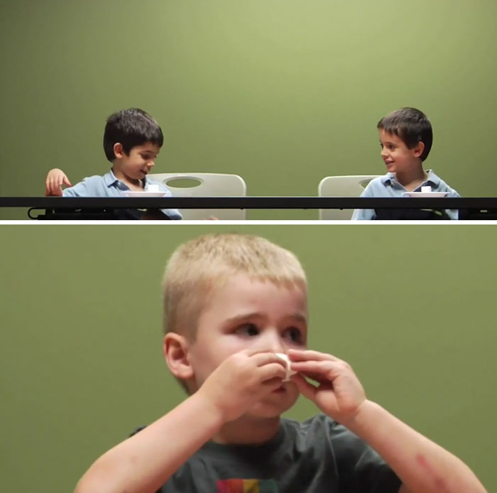 The Marshmallow Test Experiment