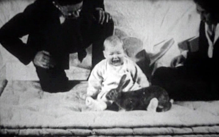 Little Albert Experiment