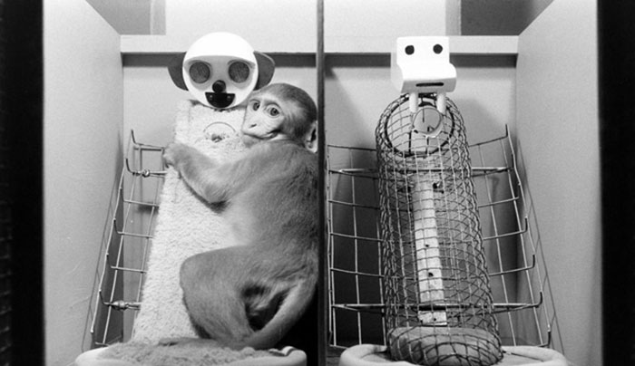 Surrogate Mother Experiment