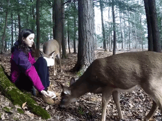 Wife Has Achieved Disney Princess Status