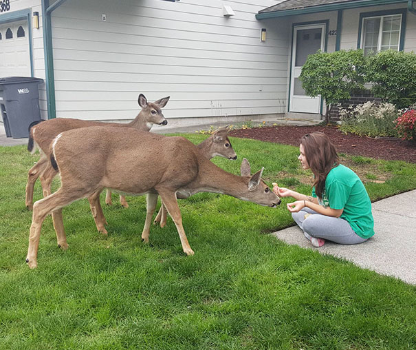 My Wife Being A Disney Princess