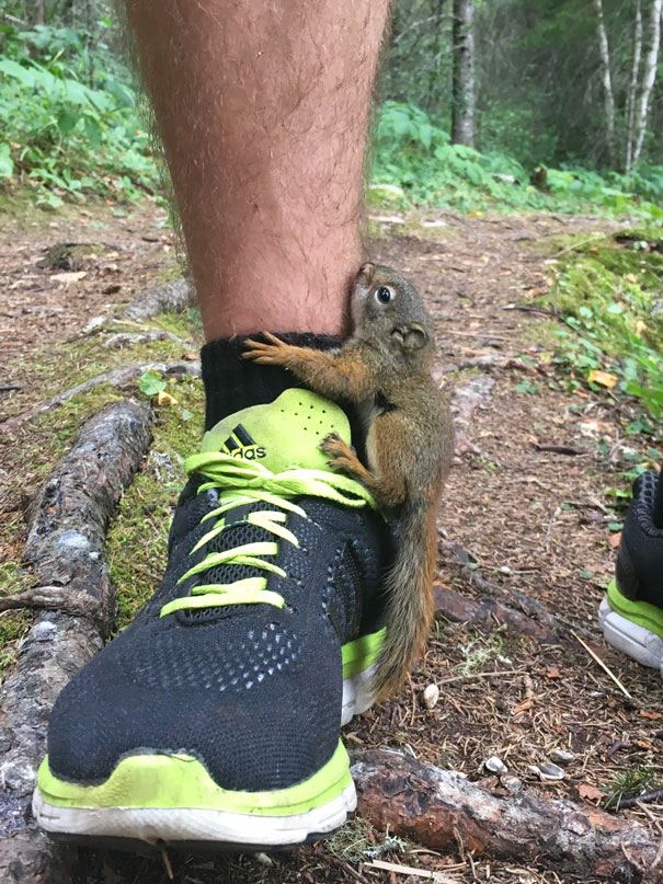 Today I Became A Disney Princess