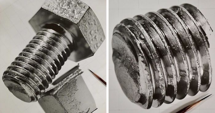 Japanese Artist Spends Up To 250 Hours Creating Realistic Art With A Simple Pencil, And The Results Will Amaze YouJapanese Artist Spends Up To 250 Hours Creating Realistic Art With A Simple Pencil, And The Results Will Amaze You