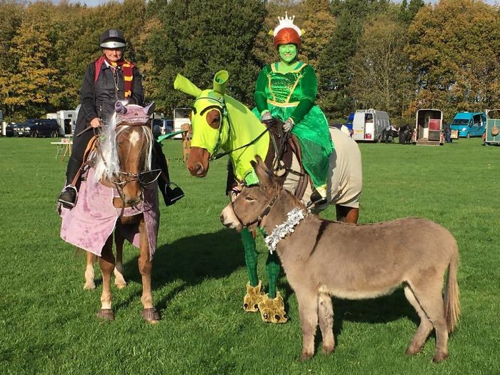 Myself As Princess Fiona With Ex Racehorse Sam As Shrek And Timothy As Donkey Alongside Harry Trotter And Dumblehorse!