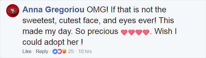 rescued-baby-bat-eat-banana-miss-alicia-11