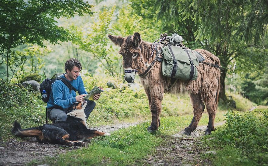 We Bought A Donkey And Took Him On A Road Trip We Bought A Donkey And Took Him On A Road Trip