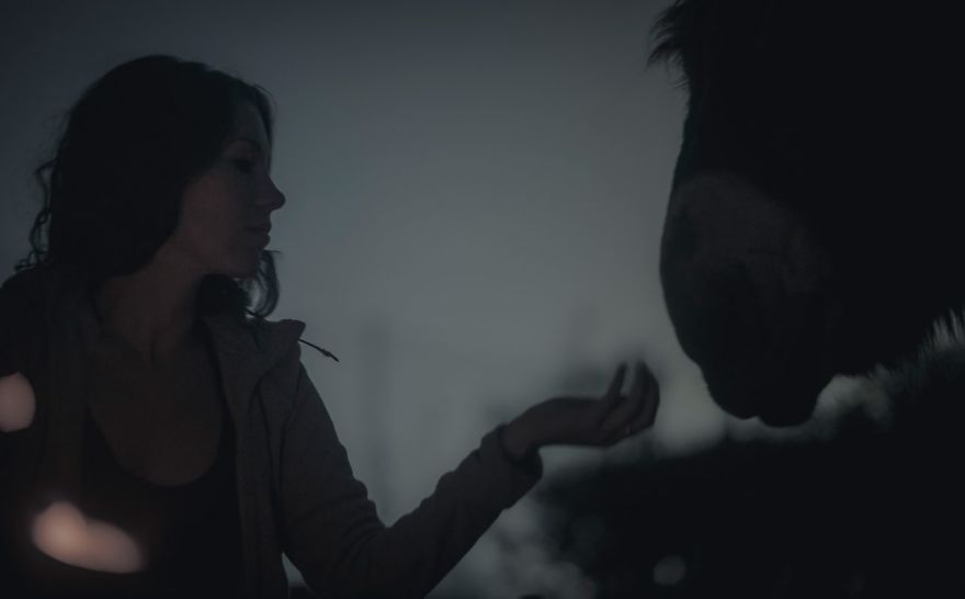 We Bought A Donkey And Took Him On A Road Trip We Bought A Donkey And Took Him On A Road Trip