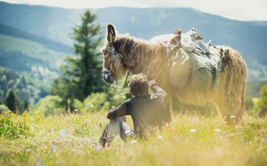 We Bought A Donkey And Took Him On A Road Trip We Bought A Donkey And Took Him On A Road Trip