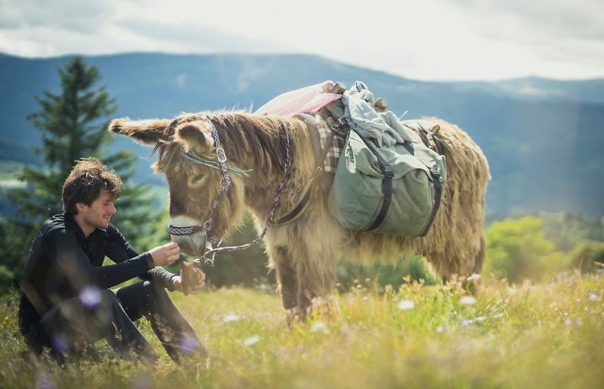 We Bought A Donkey And Took Him On A Road Trip We Bought A Donkey And Took Him On A Road Trip