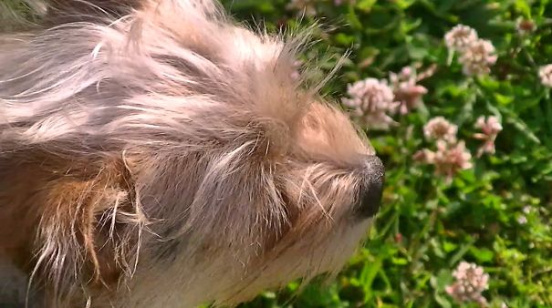 When The Best Things In Life Are Free