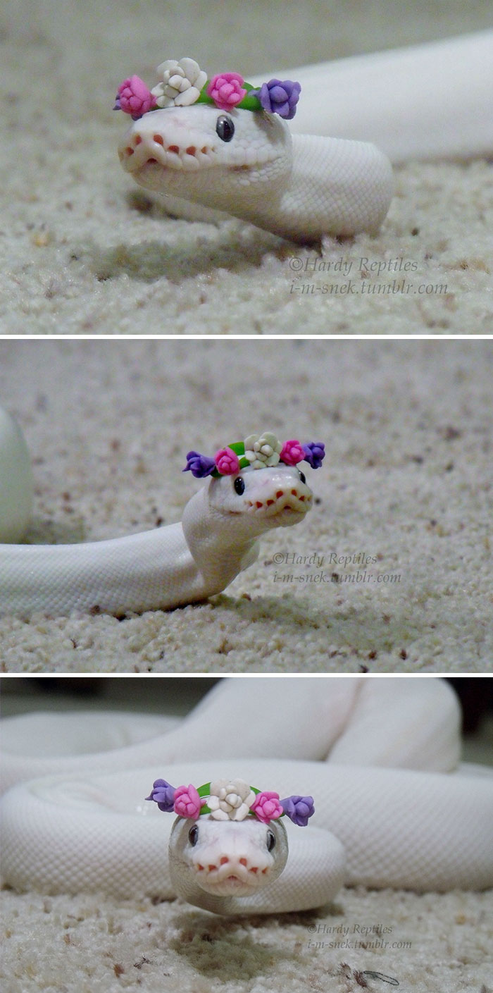 Leliana Is Here To Spread Peace And Love