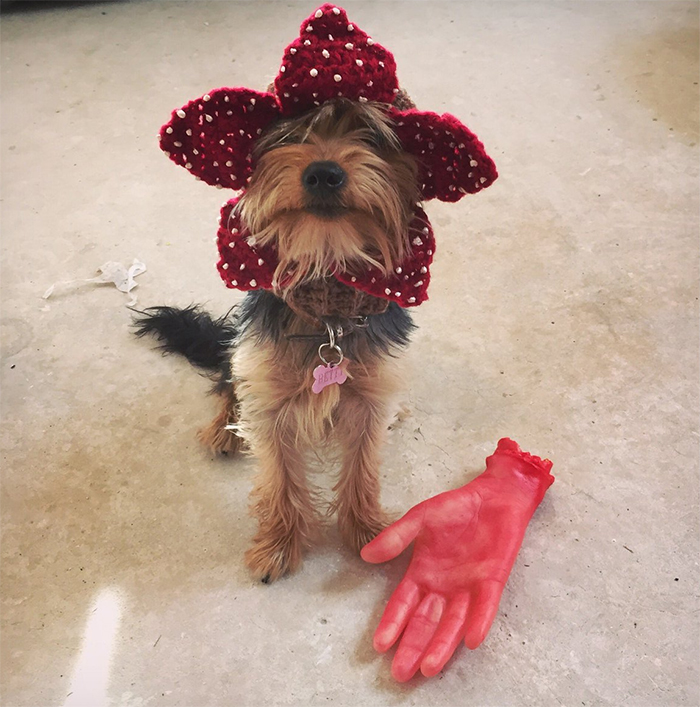 Demogorgon Dog Hat
