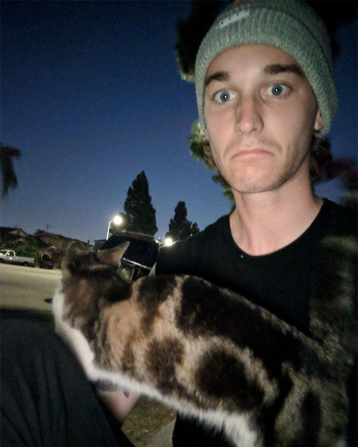 street-cat--follow-human-socks-1