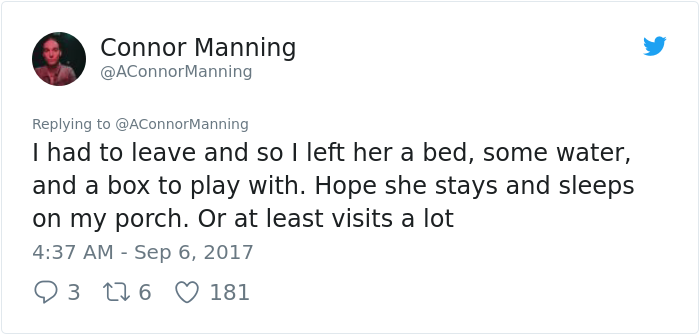 street-cat- follow-human-socks (12)