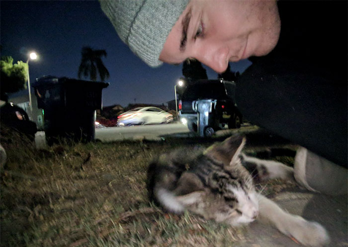 street-cat--follow-human-socks-2