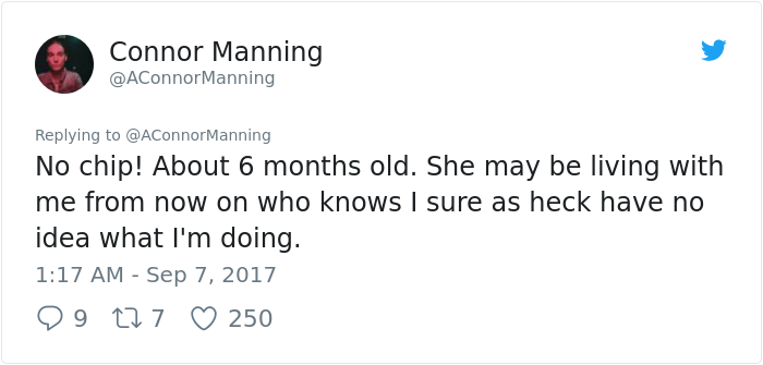 street-cat- follow-human-socks (22) street-cat- follow-human-socks (22)