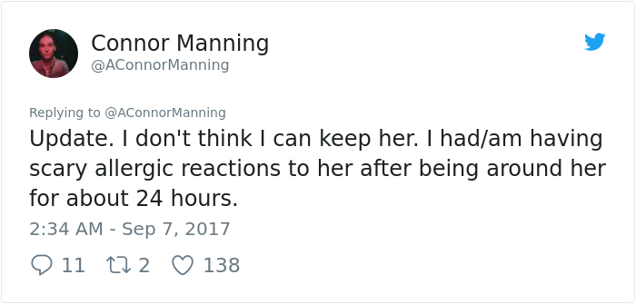 street-cat- follow-human-socks (23) street-cat- follow-human-socks (23)