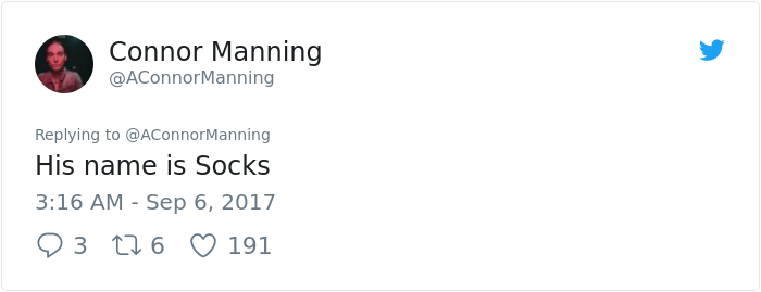 street-cat- follow-human-socks (4) street-cat- follow-human-socks (4)