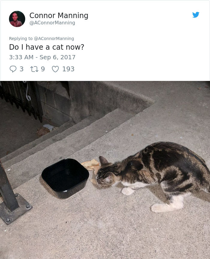 street-cat-socks-follow-human-10a