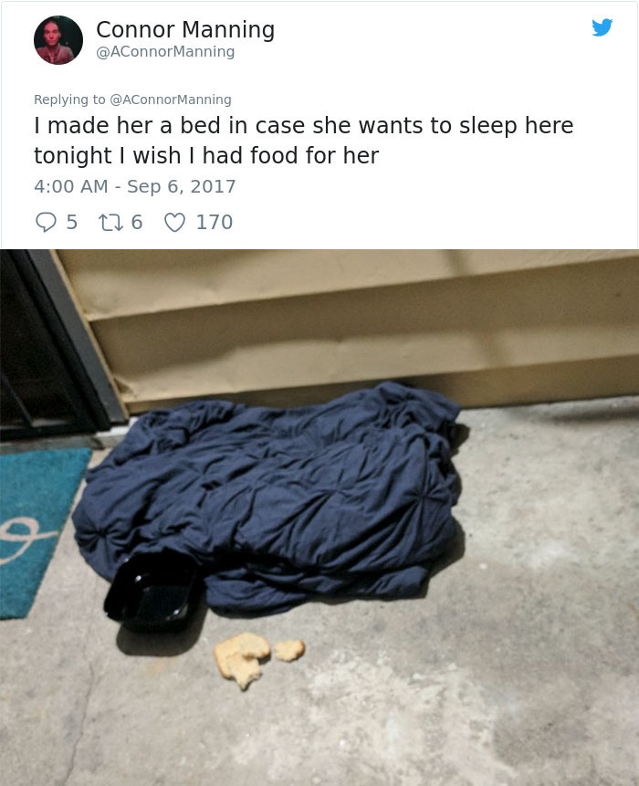 street-cat-socks-follow-human-12a street-cat-socks-follow-human-12a