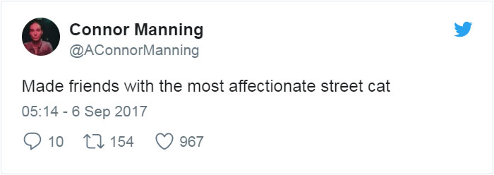 street-cat-socks-follow-human-4 street-cat-socks-follow-human-4