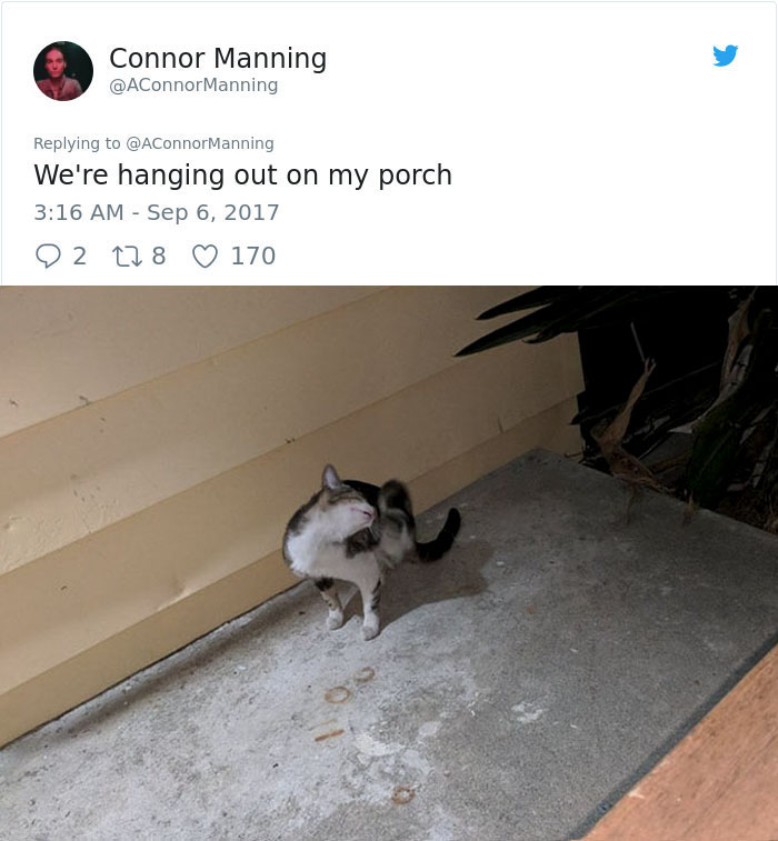 street-cat-socks-follow-human-7bbbb