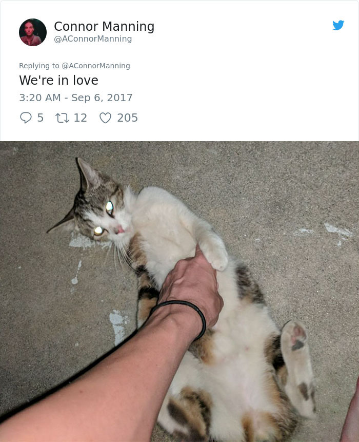 street-cat-socks-follow-human-8a