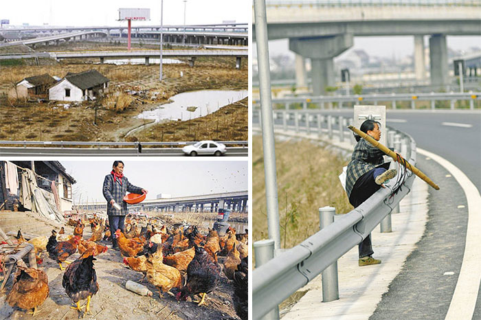 Farmers Live Stuck In Between Three Highways. Hundreds Of Households Were Relocated But The Government Wasn't Able To Reach A Consensus With This Family 