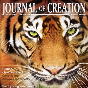 adelaiderangergw avatar