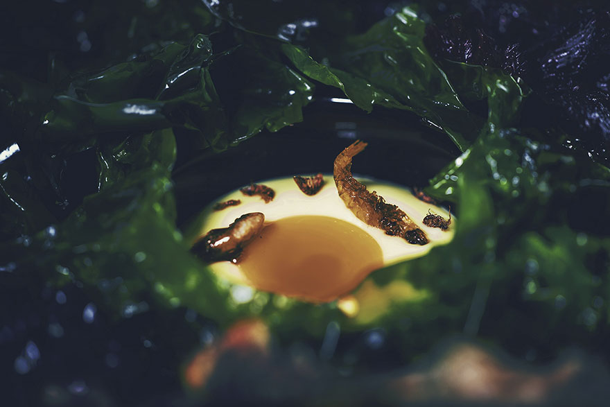 Under: Europe's First Underwater Restaurant Looks Like A Rock From Outside, But Only Until You Step Inside