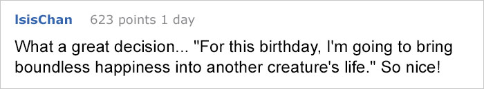 woman-adopted-dog-birthday-present-teddy-jekyllandclyde-06 woman-adopted-dog-birthday-present-teddy-jekyllandclyde-06